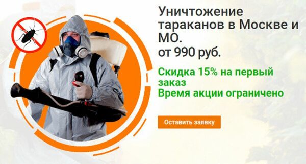 Необходимо срочно уничтожить грызунов или насекомых?