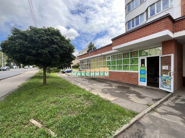 ПСН 360 кв.м. в г. Домодедово, ул. Гагарина, д.58