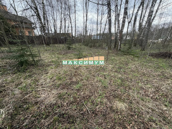 16 соток в СНТ