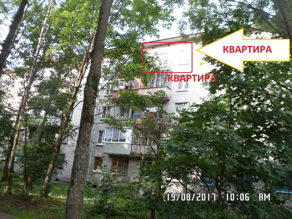 Сдам 1 к.кв.с мебелью в Красном селе СПб