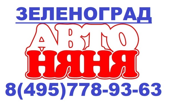 Автоняня в Зеленограде