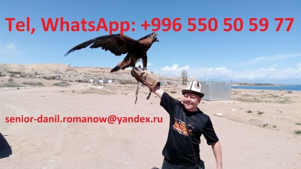Guide, driver in Kyrgyzstan, tourism, travel, excursions, hiking in mo