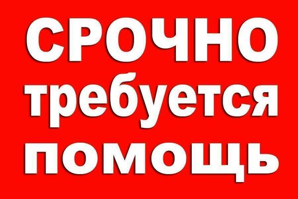 Помощь на сво рф детям в зоне военных действий