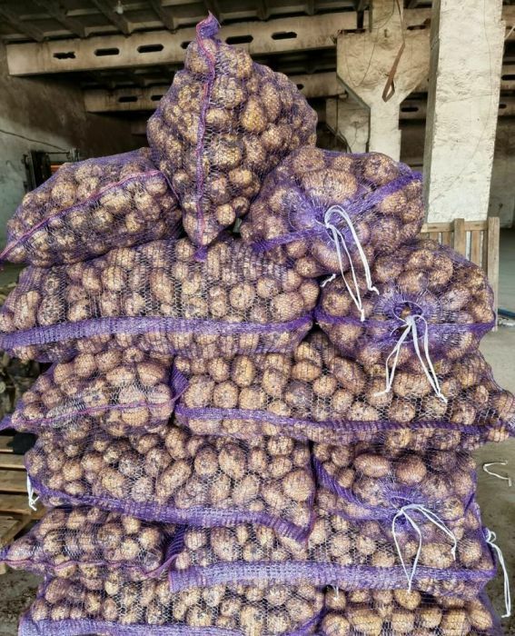 Продажа позднеспелого алтайского картофеля, моркови и свеклы на долгое