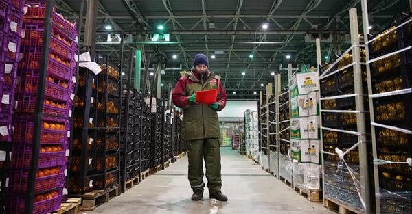 Товаровед-эксперт плодоовощной продукции