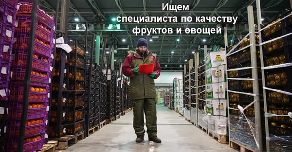 Эксперт-товаровед по качеству фруктов и овощей