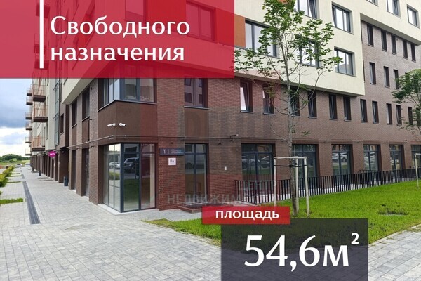 Сдам коммерческое помещение 54.6 м2, Героя России Катериничева ул, 2к1