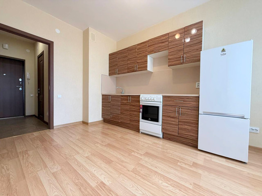 Продам однокомнатную (1-комн.) квартиру, Русская ул, 5, Анкудиновка д